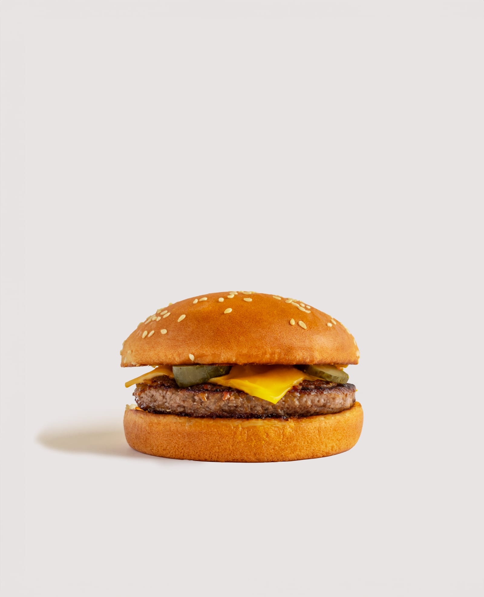 Gila CheeseBurger